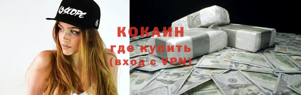 индика Лабытнанги