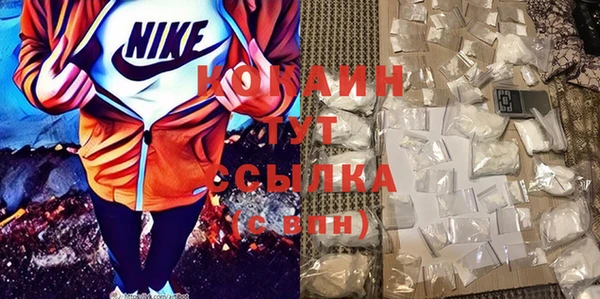 гидра Алексин