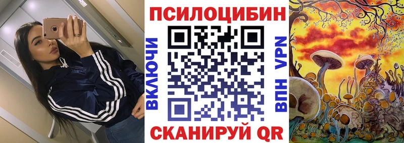 Галлюциногенные грибы Psilocybe маркетплейс телеграм Рубцовск наркотики