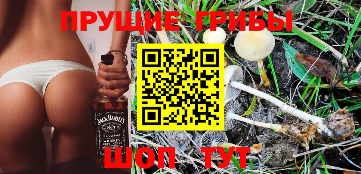 Псилоцибиновые грибы MAGIC MUSHROOMS  Вход с VPN  Рубцовск 